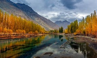 Ghazar 50 Pakistan
